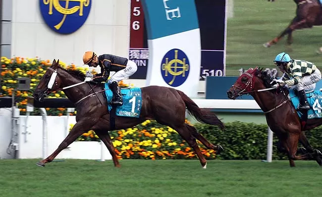 LE BOSS DU TURF: LUNDI 17 NOVEMBRE 2025