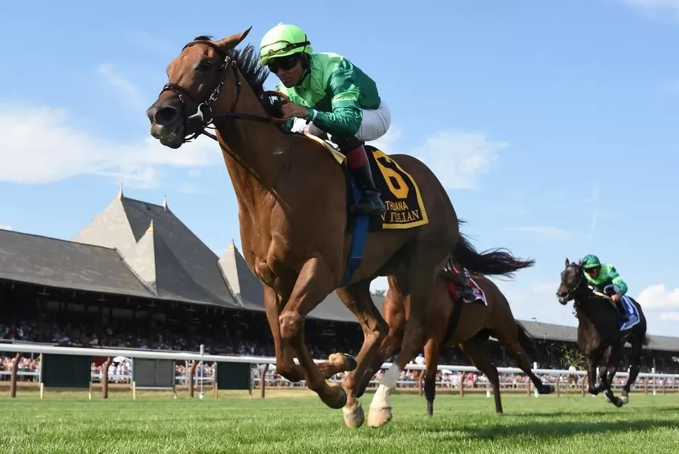 LE BOSS DU TURF: VENDREDI 07 NOVEMBRE 2025